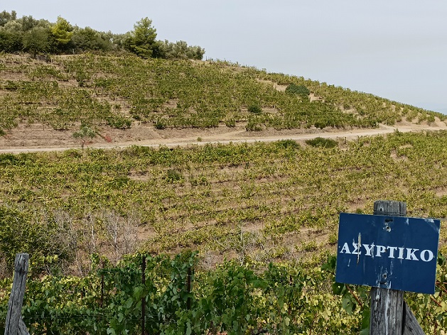 Slopes - Assyrtiko